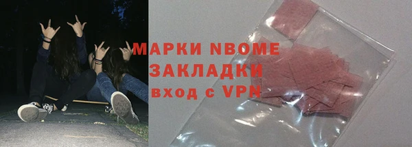 прущие грибы Аркадак