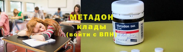 прущие грибы Аркадак